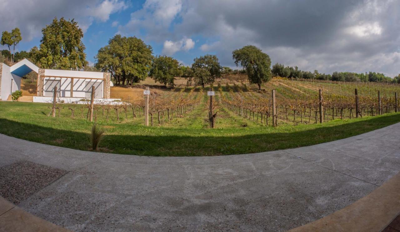 Smila Atrium Vinea Brintziki Winery 아파트 외부 사진
