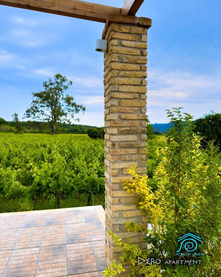 Smila Atrium Vinea Brintziki Winery 아파트 외부 사진